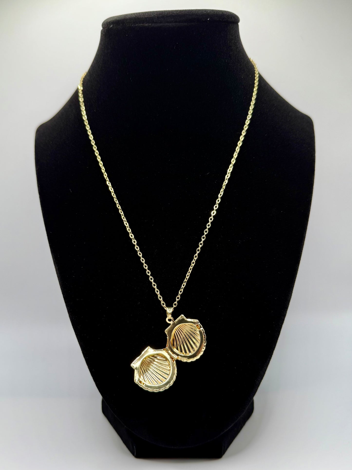 Seashell Locket