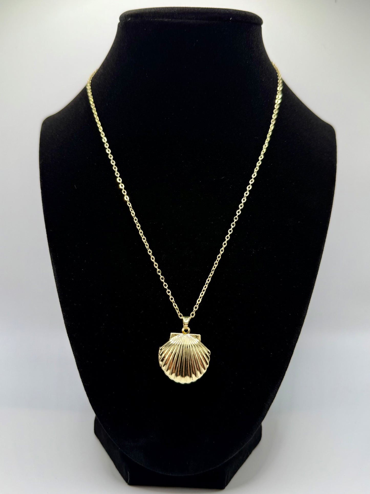 Seashell Locket