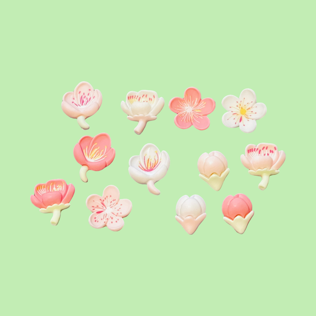 Mini Magnets (set of 12)